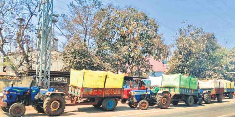 నల్గొండలో యాసంగి వరి కోత: రైతులు మిల్లర్ల నిర్ణయాలతో ఆందోళనలో