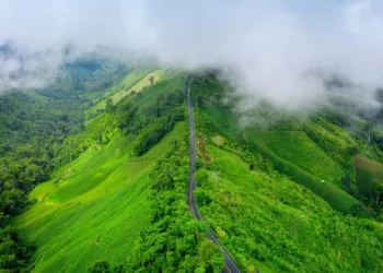 కర్ణాటకలో ట్రెక్కింగ్లో మిస్ అయిన 14 ఏళ్ల కేరళ బాలిక శరణ్య గూర్చి కొత్త వివరాలు ఇలా ఉన్నాయి: