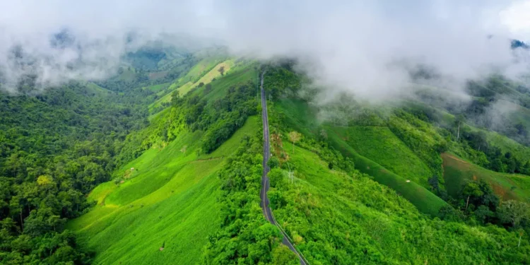 కర్ణాటకలో ట్రెక్కింగ్లో మిస్ అయిన 14 ఏళ్ల కేరళ బాలిక శరణ్య గూర్చి కొత్త వివరాలు ఇలా ఉన్నాయి: