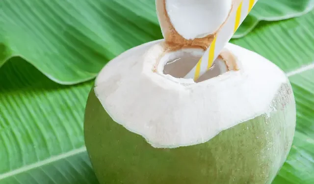 కొబ్బరి నీరు: శరీరానికి సహజ శక్తి & హైడ్రేషన్