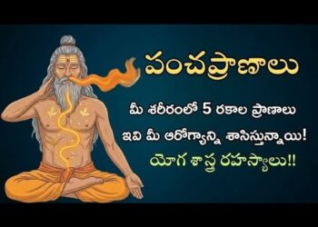పంచప్రాణాల రహస్యం.. ఆయుర్వేదంలో వాటి ప్రాముఖ్యత