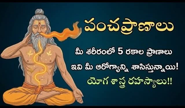 పంచప్రాణాల రహస్యం.. ఆయుర్వేదంలో వాటి ప్రాముఖ్యత
