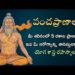 పంచప్రాణాల రహస్యం.. ఆయుర్వేదంలో వాటి ప్రాముఖ్యత