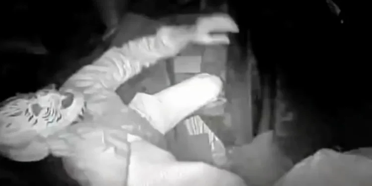 సింహం మాస్క్తో కిరాణా షాపులో దొంగతనం