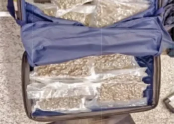 హైదరాబాద్ నగరాన్ని ముంచేస్తున్న డ్రగ్స్.. శంషాబాద్లో గట్టి దెబ్బ కొట్టిన అధికారులు!