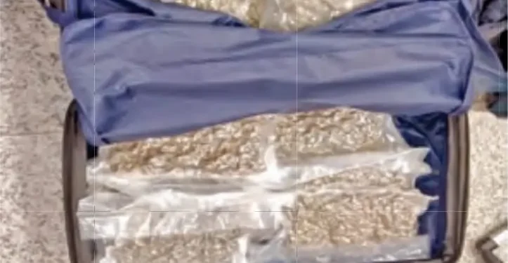 హైదరాబాద్ నగరాన్ని ముంచేస్తున్న డ్రగ్స్.. శంషాబాద్‌లో గట్టి దెబ్బ కొట్టిన అధికారులు!