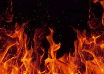 దిల్లీలో అర్ధరాత్రి దారుణం: అది అగ్నిప్రమాదమా? లేక సజీవ దహన కుట్రనా?