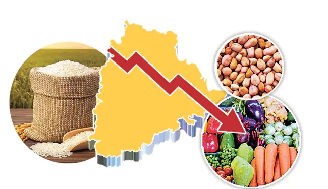 పంటల మార్పిడి జరగకపోతే ప్రమాదమే! తెలంగాణ రైతులకు వ్యవసాయ వర్సిటీ హెచ్చరిక