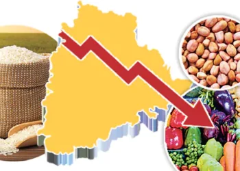 పంటల మార్పిడి జరగకపోతే ప్రమాదమే! తెలంగాణ రైతులకు వ్యవసాయ వర్సిటీ హెచ్చరిక