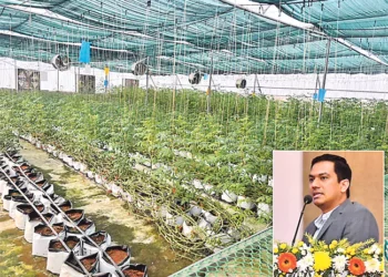 హైడ్రోపోనిక్ విధానంతో రైతులకు ఆదర్శంగా నిలిచిన అధికారి