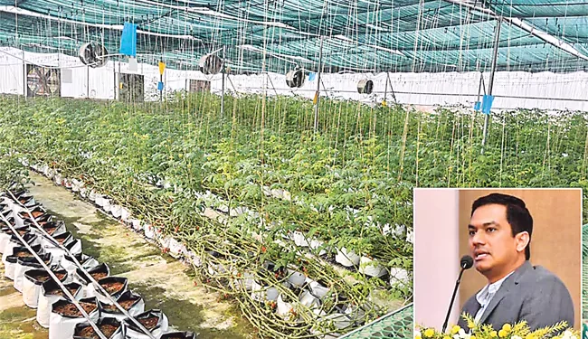 హైడ్రోపోనిక్ విధానంతో రైతులకు ఆదర్శంగా నిలిచిన అధికారి