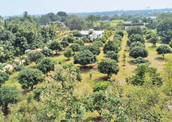 అజీజ్‌నగర్‌లో ఎసైన్డ్ భూముల గందరగోళం.. రూ.3,240 కోట్ల భూములు అన్యాక్రాంతం!