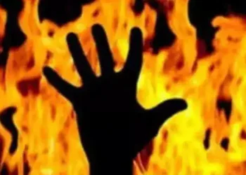 పెద్దపల్లి జిల్లాలో కలకలం… అన్నపై తమ్ముడు దాడి