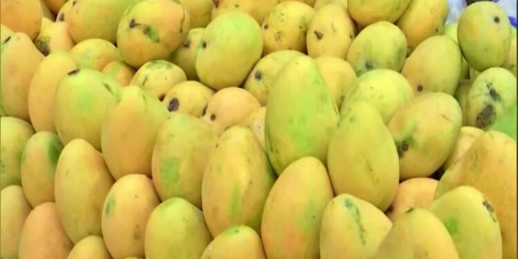 మామిడికాయలు మార్కెట్లోకి.. వైద్యుల హెచ్చరిక