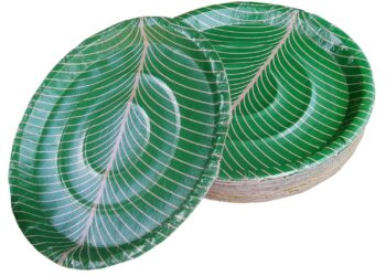 పేపర్ ప్లేట్లు – ఆరోగ్యంపై దాగి ఉన్న సందేహాలు