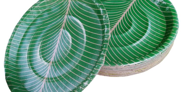 పేపర్ ప్లేట్లు – ఆరోగ్యంపై దాగి ఉన్న సందేహాలు