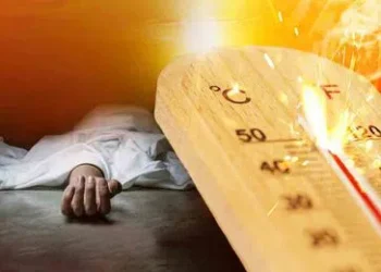 మండిపోతున్న భానుడు: వడదెబ్బతో ఇద్దరు రైతుల దుర్మరణం!