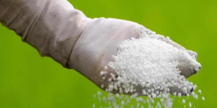 సాగుకు సిద్ధం.. ఎరువులు భద్రం: వరి, మొక్కజొన్న రైతులకు కేంద్రం తీపి కబురు