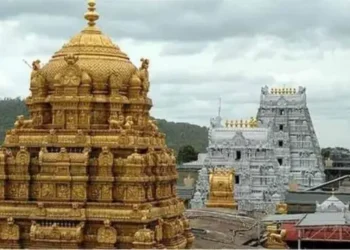 తిరుమల ప్రసాదం కల్తీ వ్యవహారం.. అమలుకు ఉన్నత స్థాయి కమిటీ ఏర్పాటు