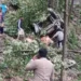 నేపాల్‌లో ఘోర జీపు ప్రమాదం – 17 మంది మృతి
