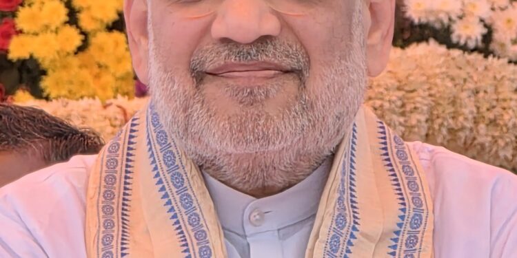 సరిహద్దుల్లో ఇక చతుర్భుజ భద్రతా గ్రిడ్: అమిత్ షా