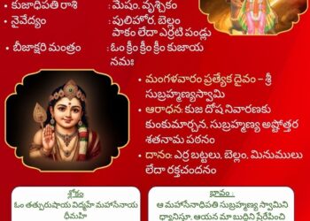 పంచాంగం: 12 మే 2026 (మంగళవారం)