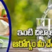 వేసవిలో ఆరోగ్యాన్ని కాపాడుకోవడానికి ముఖ్యమైన చిట్కాలు