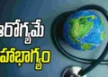 చిన్న జాగ్రత్తలతో పెద్ద వ్యాధులకు చెక్‌