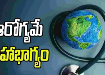 చిన్న జాగ్రత్తలతో పెద్ద వ్యాధులకు చెక్‌
