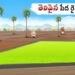 తెలివైన పేద రైతు