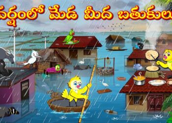 వర్షంలో మేడ మీద బతుకులు