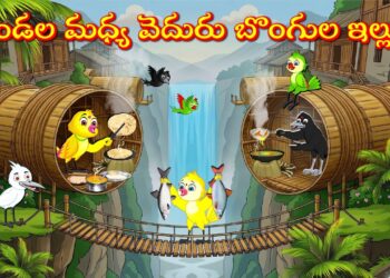 కొండల మధ్య వెదురుబొంగుల ఇల్లులు