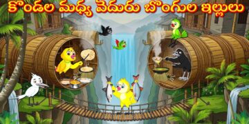కొండల మధ్య వెదురుబొంగుల ఇల్లులు