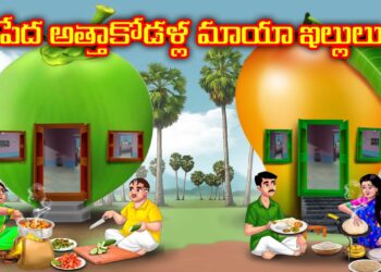 పేద అత్తాకోడళ్ల మాయా ఇల్లులు