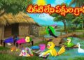 చీకటి లేని పక్షుల గ్రామం