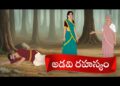 అడవి రహస్యం
