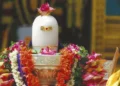 ఇంట్లో ఎటువంటి శివలింగం ఉంచాలి? - శాస్త్రాలు ఏం చెబుతున్నాయి!