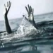 నల్లకొంగల వేటకు వెళ్లి ఇద్దరు బాలుర దుర్మరణం