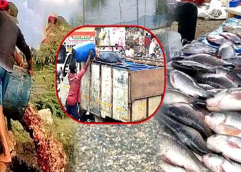 120 టన్నుల చికెన్‌ వ్యర్థాలు స్వాధీనం