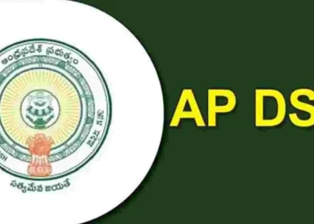 ఏపీ మెగా డీఎస్సీ 2025.. హారిజాంటల్ రిజర్వేషన్‌పై ఎందుకు గందరగోళం?