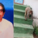 కోతుల పోట్లాటతో సిమెంట్ ఇటుక పడి మహిళ మృతి – జగిత్యాలలో విషాద ఘటన
