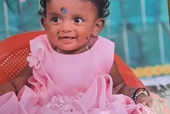 నీటి సంపులో పడి చిన్నారి మృతి – ఆ వెంటనే నాయనమ్మకు గుండెపోటు, ఒకే రోజు రెండు మరణాలు