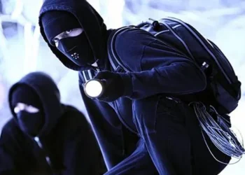 జోగులాంబ గద్వాలలో పందుల దొంగల హల్‌చల్‌