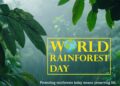 WORLD RAINFOREST DAY