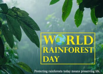 WORLD RAINFOREST DAY