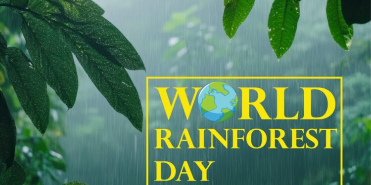 WORLD RAINFOREST DAY