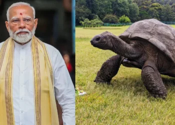 ప్రపంచంలోనే అత్యంత వృద్ధ తాబేలు ‘జొనాథన్’ను కలవనున్న ప్రధాని మోదీ