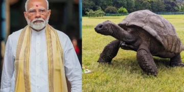ప్రపంచంలోనే అత్యంత వృద్ధ తాబేలు ‘జొనాథన్’ను కలవనున్న ప్రధాని మోదీ