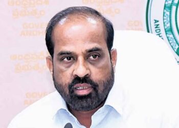 వర్షాకాల వ్యాధుల నియంత్రణకు ముందస్తు చర్యలు చేపట్టాలి: మంత్రి సత్యకుమార్ యాదవ్