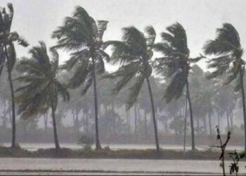 ఆంధ్రప్రదేశ్‌కు చల్లటి కబురు – రాష్ట్రాన్ని తాకిన నైరుతి రుతుపవనాలు